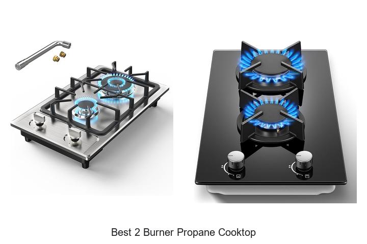 Best 2 Burner Propane Cooktop That Will Blow Your Mind!