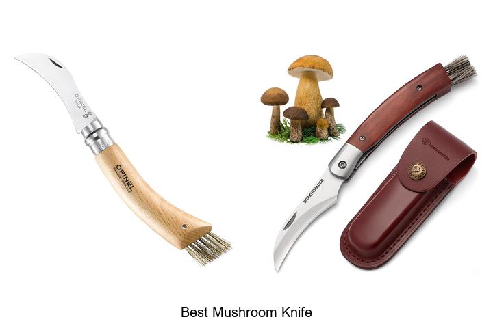 Discover The Best Mushroom Knife For Perfect Foraging Now!